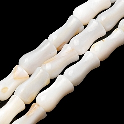 Seashell Color Natural Freshwater Shell Beads Strands, Vase, Seashell Color, 9.5~10x4.5~5mm, Hole: 0.5mm, about 41pcs/strand, 15.24''~15.47''(38.7~39.3cm)