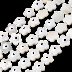 (404) Непрозрачное AB Кислое яблоко Естественных пресноводных оболочки бисер нитей, с эмалью, цветок с сглаза, цветочный белый, 9.5~10.5x9.5~10.5x3.5~4 мм, отверстие : 0.5 мм, около 39~41 шт / нитка, 15.08~15.35'' (38.3~39 см)