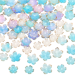 Светло-Голубой 100шт 4 стили прозрачные акриловые колпачки для бусин, с золотым краем, цветок, Небесно-голубой, 18~23.5x19~23.5 мм, отверстие : 1.4~1.5 мм, 254 шт / стиль