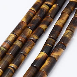 Tiger Eye Natural Tiger Eye Beads Strands, Column, 16x8mm, Hole: 1.5mm, about 25pcs/strand, 15.7 inch(40cm)