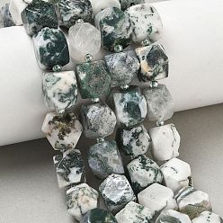 Bâche Naturelles arbres agate perles brins, nuggets, facette, avec des perles de rocaille, 11.5~12.5x9~13x9~12mm, Trou: 1mm, Environ 28 pcs/chapelet, 14.96'' (38 cm)