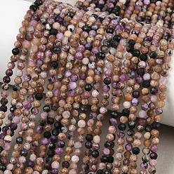 Чароит Естественно чароитовыми бисер пряди, граненые, круглые, 3~3.5 мм, отверстие : 0.6 мм, около 124 шт / нитка, 15.55'' (39.5 см)