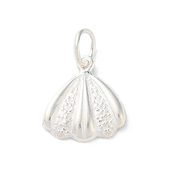 Shell Shape 925 подвески в форме раковин морских животных из стерлингового серебра, с прыжковых колец, формы раковины, 13x12.5x2 мм, отверстие : 4 мм
