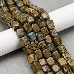 Природный Драгоценный Камень Нити бусин из натурального камня вердит, кубоид, 7~12x8~9x8~9 мм, отверстие : 1.4 мм, около 41 шт / нитка, 14.88'' (37.8 см)