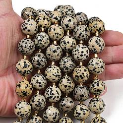 Далматинских Джаспер Природные яшмы далматин бисер нитей, граненые, круглые, с бисером, 15~16 мм, отверстие : 1.4~1.6 мм, около 21 шт / нитка, 15.35~15.94 дюйм (39~40.5 см)