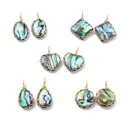 Doré  Pendentifs en nacre d'ormeau naturelle enroulés de fil de cuivre, charmes géométriques, formes mixtes, or, 19.5~24x12~16.5x4~4.5mm, Trou: 3~3.5mm