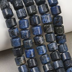 Dumortierite Natural Dumortierite Beads Strands, Column, 8x8.5mm, Hole: 1mm, about 49pcs/strand, 15.55''(39.5cm)