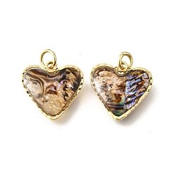 Сердце Подвески из натуральной ракушки пауа и эпоксидной смолы, латунные геометрические подвески, с прыжковых колец, золотые, сердце, 13.5x13.5x3.5 мм, отверстие : 3 мм
