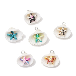 Платина Подвески в виде морских звезд из натуральной ракушки и окрашенной синтетической бирюзы, Подвески в форме ракушки с петлями из медной проволоки, разноцветные, платина, 20.5~21x21~22.5x8.5~9 мм, отверстие : 3 мм