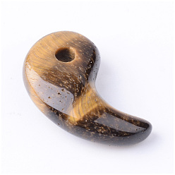 Tiger Eye Natural Tiger Eye Gemstone Pendants, Comma Shape, 29~30x17~18x9~11mm, Hole: 4mm