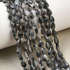 Larvikite Натуральные нити бус из ларвикита, граненые, слеза, 6x4~4.5x2.5 мм, отверстие : 0.6 мм, около 62~63 шт / нитка, 14.96~15.16'' (38~38.5 см)