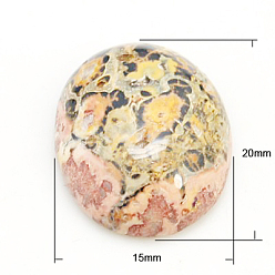 Леопардовая Яшма Кабошоны из камня, овальные, шкура леопарда яшмы, 20x15x5 мм