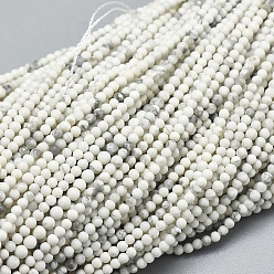 Howlite Natürliche Howlith Perlen Stränge, Runde, 2~2.5 mm, Bohrung: 0.5 mm, ca. 165~188 Stk. / Strang, 15.35 Zoll (39 cm)