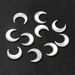 Seashell Color Natural White Shell Beads, Moon, Seashell Color, 15x13x2.5mm, Hole: 0.8mm