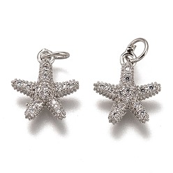 Платина Латунные микропаве прозрачные кубические циркониевые подвески, без кадмия и без свинца, долговечный, форма морской звезды, платина, 13.5x11.5x3 мм, отверстие : 3 мм