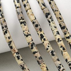 Dalmatiner Jaspis Natur Dalmatiner Jaspis Perlen Stränge, Kolumne, 8x4 mm, Bohrung: 1 mm, ca. 49 Stk. / Strang, 15.35'' (39 cm)