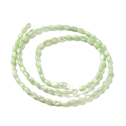Light Green Natural Trochus Shell Beads Strands, Dyed, Rice, Light Green, 5x3~3.5mm, Hole: 0.7mm, about 81~82pcs/strand, 15.39''~15.51''(39.1~39.4cm)
