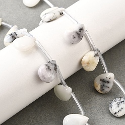 Белый Опал Натуральный белый опал африканские бусы пряди, слеза, Топ пробуренной, с трубкой бисера, 14~14.5x10~11x5~6 мм, отверстие : 1.2 мм, около 24 шт / нитка, 15.75'' (40 см)