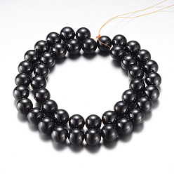 Original Color Magnetic Synthetic Hematite Bead Strands, Grade A, Round, Original Color, 10mm, Hole: 1.2mm, about 43pcs/strand, 15.7 inch(40cm)