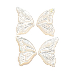 Белый Дым Белые подвески оболочки, морские раковины, бабочки прелести, серый, 19~20x11~12x1.8~2 мм, отверстие : 1 мм