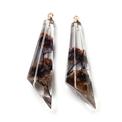 Кокосово-Коричневый Подвески из прозрачной смолы с сухоцветами, с латунной найти, кокосового коричневый, 45x11.5x12.5 мм, отверстие : 1.8 мм