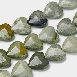 Деревянное Окаменение Природные окаменелое дерево бисер пряди, сердце, 20x20x7 мм, отверстие : 1.2 мм, около 21 шт / нитка, 15.35 дюйм (39 см)