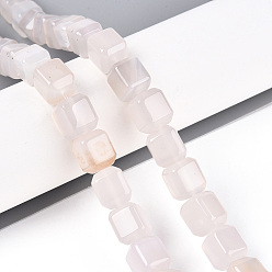 Натуральный Агат Натуральный белый агат бисер нитей, кубические, 11~12.5x9.5~10.5x9.5~10.5 мм, отверстие : 0.7 мм, около 33 шт / нитка, 14.76~15.75 дюйм (37.5~40 см)
