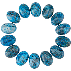 Другие Джасперы 20 шт. кабошоны из натуральной яшмы, овальные, окрашенные, 25x18x7~8 мм