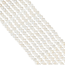 Кремово-белый 1 нити натуральных культивированных пресноводных жемчужных бусин, двух сторон полированной, кремово-белые, 6~7x6~8x3~6 мм, отверстие : 0.6 мм, около 57~58 шт / нитка, 13.78~13.98'' (35~35.5 см)
