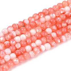 Коралловый Нити бусин из окрашенных натуральных ракушек трохид/трохус, круглые, коралл, 2x1.7 мм, отверстие : 0.3 мм, около 225~229 шт / нитка, 15.04~15.35'' (38.2~39 см)