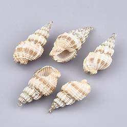 Spiral Shell Electroplate Spiral Shell Pendants, with Iron Findings, Light Gold, 36~45x18~20x14.5~17mm, Hole: 1.8mm