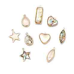 Mixed Shapes Латунь эмаль подвески, имитация оболочки, реальный 14 k позолоченный, без кадмия и без свинца, разнообразные, 15~27x8~16x1.5~4.5 мм, отверстие : 1.5~1.6 мм