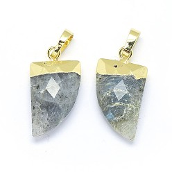 Labradorite Natural Labradorite Pendants, with Long-Lasting Plated Brass Findings, Faceted, Scabbard, Golden, 19.5x11x5mm, Hole: 3.5x5.5mm