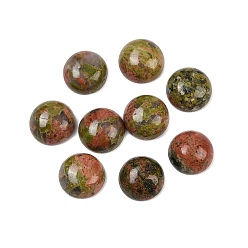 Унакит Природные кабошонов Unakite, полукруглые / купольные, 10x4~5 мм