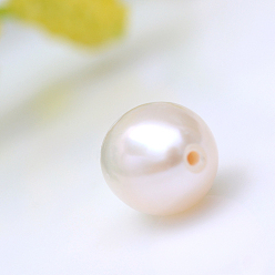 Blanco Perlas naturales perlas de agua dulce cultivadas, perlas de media perforados, arroz, blanco, 8~9 mm, medio agujero: 0.8 mm
