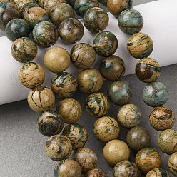 Природный Драгоценный Камень Натуральные зеленые бусины с прожилками дракона, гладкий круглый, 10 мм, отверстие : 1 мм, около 39 шт / нитка, 15.16'' (38.5 см)