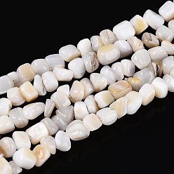 Морская Ракушка Естественных пресноводных оболочки бисер нитей, самородки, цвет морской раковины, 0.5~8x3~7x3~7 мм, отверстие : 1 мм, около 86~108 шт / нитка, 14.76~15.16 дюйм (37.5~38.5 см)