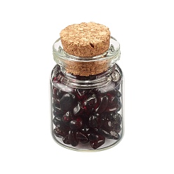 Гранат Украшение бутылки желаний прозрачное стекло, бутылочки для исцеления чакры, балансировка драгоценных камней викка, с натуральными гранатовыми чипсами, 22x34 мм, чип бусины: 1~8x1.5~10x1~7мм