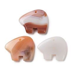 Red Agate Натуральный красный агат подвески, амулеты в виде медведя зуни, 36~38x47~50x7.5~9 мм, отверстие : 3 мм