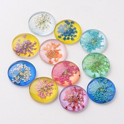 Mixed Color Handmade Glass Flat Back Cabochons, Half Round/Dome, with Dried Flower, Mixed Color, 20x6mm