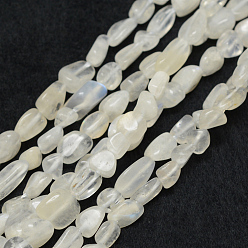 Rainbow Moonstone Natürliche Regenbogen-Mondstein-Perlenstränge, getrommelt Stein, Nuggets, 6~8x4~6 mm, Bohrung: 1 mm, 15.3 Zoll (39 cm)