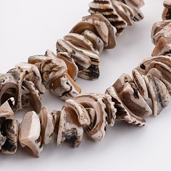 Camel Natural Shell Bead Strands, Dyed, Nuggets, Camel, 10~20x8~12x3~6mm, Hole: 1mm, about 15.7 inch