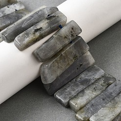 Лабрадорита Природные лабрадорита бисер нитей, прямоугольные, Топ пробуренной, 22~60x6~14x6~9 мм, отверстие : 1.5~2 мм, около 17~22 шт / нитка, 7.48''~8.07'' (19~20.5 см)