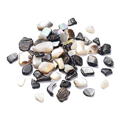 Mixed Color Natural Black Lip Shell Beads, Shell Shards, No Hole/Undrilled, Chips, Mixed Color, 7.5~18.5x8.5~16mm