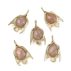 Peach Moonstone Натуральные ограненные подвески из персикового лунного камня, подвески в виде морских рыб из латуни с оправой, золотые, стойки покрытие, долговечный, 20x12x4 мм, отверстие : 1.2 мм