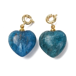 Апатит Подвеска в форме сердца из натурального апатита., с медными застежками, золотые, 24.5~25.5 мм, отверстие : 3 мм
