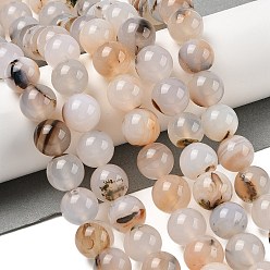 Дендритный Агат Нити из натурального дендритного агата, круглые, 14 мм, отверстие : 0.8 мм, около 28~29 шт / нитка, 14.96~15.75'' (38~40 см)