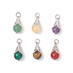 Смешанные камни 6 шт. 6 стили подвески-слезинки из натурального окрашенного зеленого тигрового глаза, зеленого авантюрина, сердолика, желтого нефрита, аметиста и тигрового глаза, с латунной фурнитурой , платина, 23x10 мм, отверстие : 4 мм, 1 шт / стиль