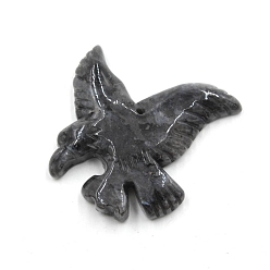 Лабрадорита Резные подвески из натурального лабрадорита, орел, 40x40x8 мм, отверстие : 1.2 мм