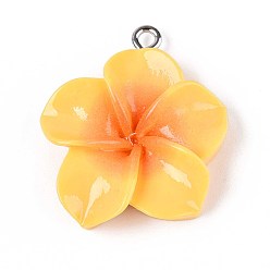 Золотистый Непрозрачные подвески смолы, плюмерия, с платиновым тоном железная петля, золотые, 27~28x24~25x6.5~8 мм, отверстие : 2 мм